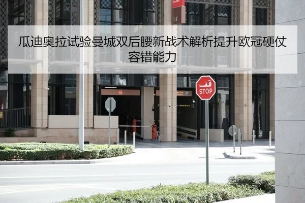 瓜迪奥拉试验曼城双后腰新战术解析提升欧冠硬仗容错能力