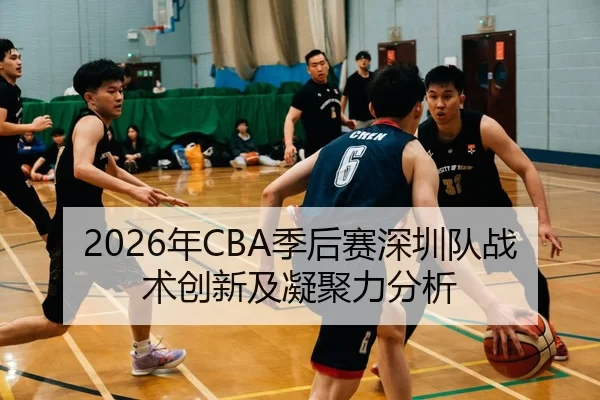 2026年CBA季后赛深圳队战术创新及凝聚力分析