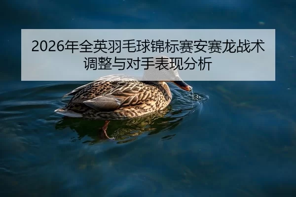 nian-quan-ying-yu-mao-qiu-jin-biao-sai-an-sai-long-zhan-shu-tiao-zheng-yu-dui-shou-biao-xian-fen-xi-2-678.jpg